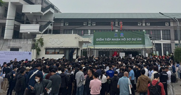 Loạn “cò hồ sơ”, rao bán suất ngoại giao nhà ở xã hội, Bộ Xây dựng chỉ đạo xử lý