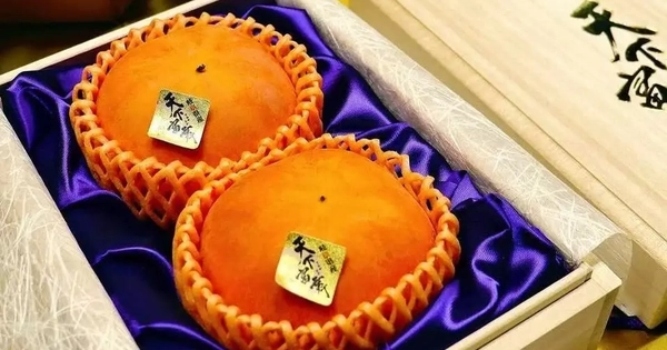 Ngỡ ngàng cặp hồng được bán với giá kỷ lục 187 triệu đồng