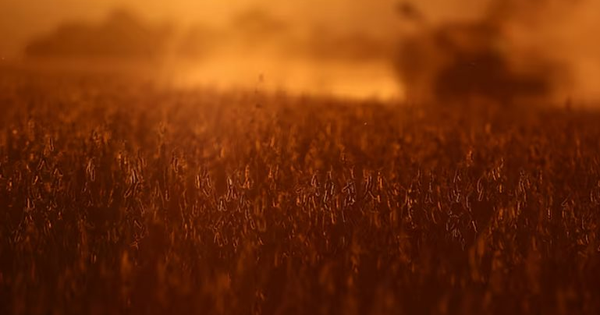 2 tháng liền Trung Quốc không mua dù chỉ 1 hạt mặt hàng then chốt của Mỹ, nông dân trông chờ gì vào tương lai?