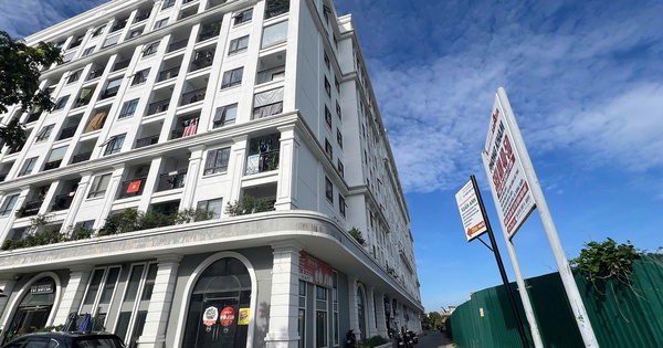 Sở Xây dựng TP Huế lên tiếng vụ chung cư nhà ở xã hội xây "lố" độ lùi