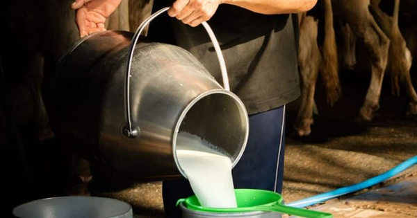 Đột kích vào nhà dân, cảnh sát triệt phá đường dây sữa giả chỉ hoạt động vào đêm và sáng sớm, tiêu hủy 400 lít sữa pha chế từ hóa chất