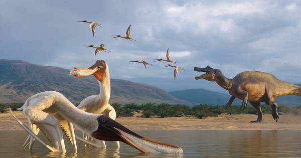 Loài quái vật bay chưa từng biết "trỗi dậy" từ bụng khủng long