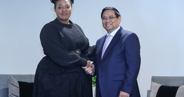 Thủ tướng kết nối hợp tác giữa hai tập đoàn dầu khí quốc gia của Việt Nam, Nam Phi