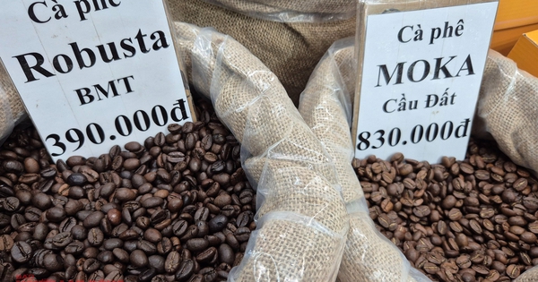 Giá cà phê hôm nay 22-11: Giảm mạnh khi Mỹ xóa thuế cho cà phê Brazil