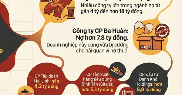 Ba Huân, Color Man Food cùng nhiều công ty khác nợ BHXH tiền tỉ