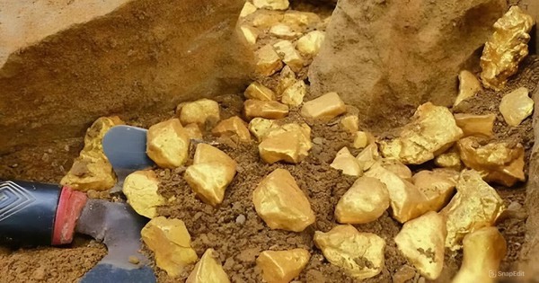 Phát hiện 150 tấn vàng trị giá hơn 120.000 tỷ đồng, cảnh sát lập tức phong tỏa khu vườn của một nông dân