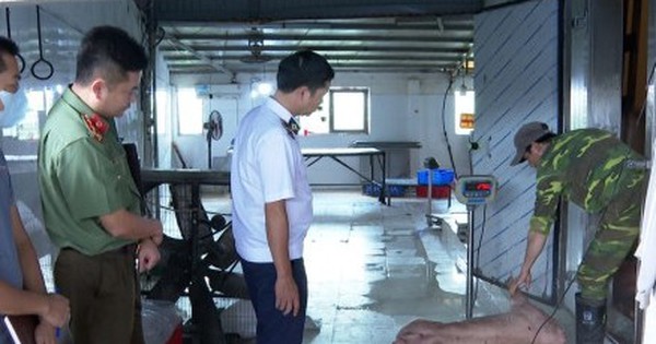 Khởi tố chủ cơ sở chăn nuôi ở Hưng Yên tuồn lợn bệnh ra thị trường