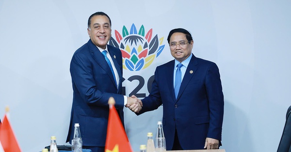 Thủ tướng đề xuất Việt Nam xuất khẩu ngành nông nghiệp sang Ai Cập