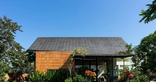 Nhà mái dốc 160m2 giữa cánh đồng lúa đẹp như tranh vẽ