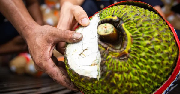 Mít tươi xuất khẩu chính ngạch sang Trung Quốc