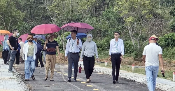 Siết môi giới BĐS, chấm dứt 'suất mua – thu chênh' trái phép