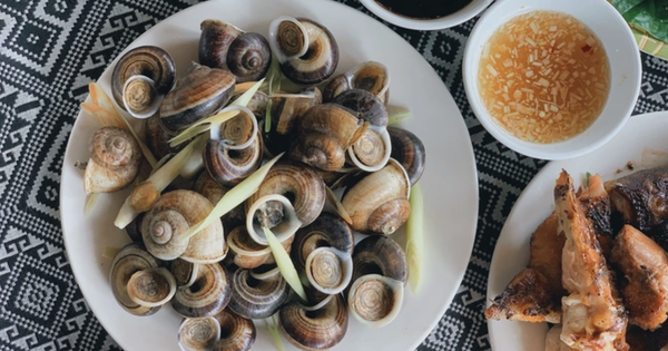 Loài vật tưởng chỉ có dưới nước, ai ngờ còn "bò" lên núi và trở thành đặc sản được săn lùng