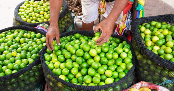 Loại quả bán đầy ở chợ Việt Nam giá cực rẻ - Sang trời Tây bỗng thành hàng hot, được các 'đại gia dầu mỏ' tranh mua như đặc sản