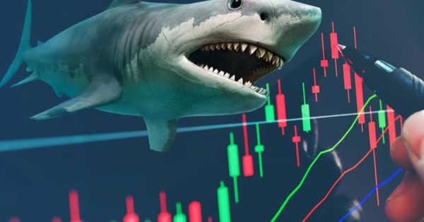 Vì sao loạt “cá mập”, “cá voi” đua nhau tham gia Chứng Trường Bạc Tỷ mùa 2?