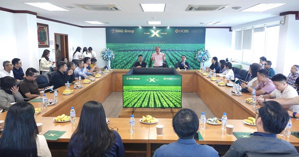 Sự trở lại của HAGL và dấu ấn “kiến trúc sư” OCBS trong bức tranh chiến lược mới