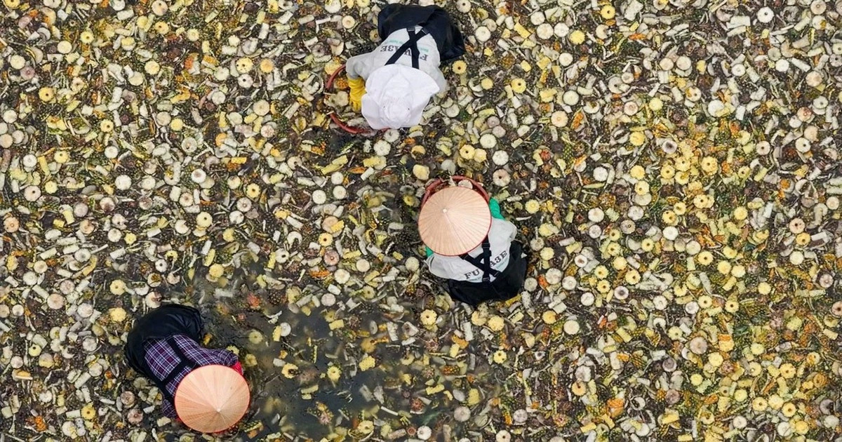 FUWA Biotech - Dấu ấn công nghệ sinh học trong ngành tẩy rửa xanh