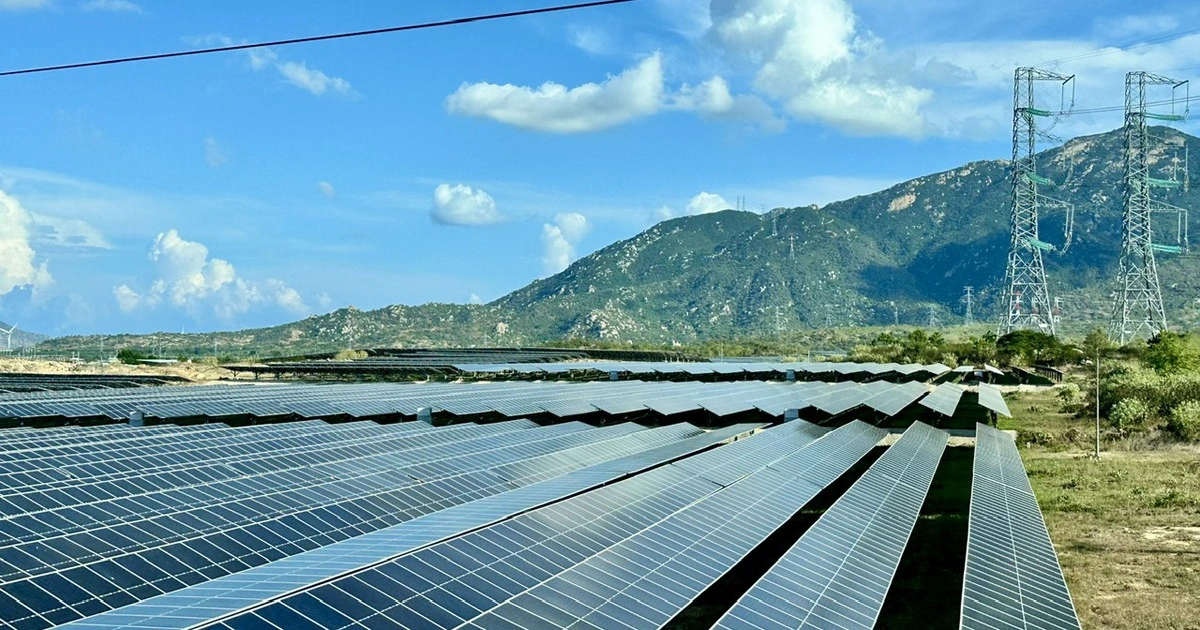 23 nhà đầu tư điện tái tạo yêu cầu đối thoại về chậm thanh toán