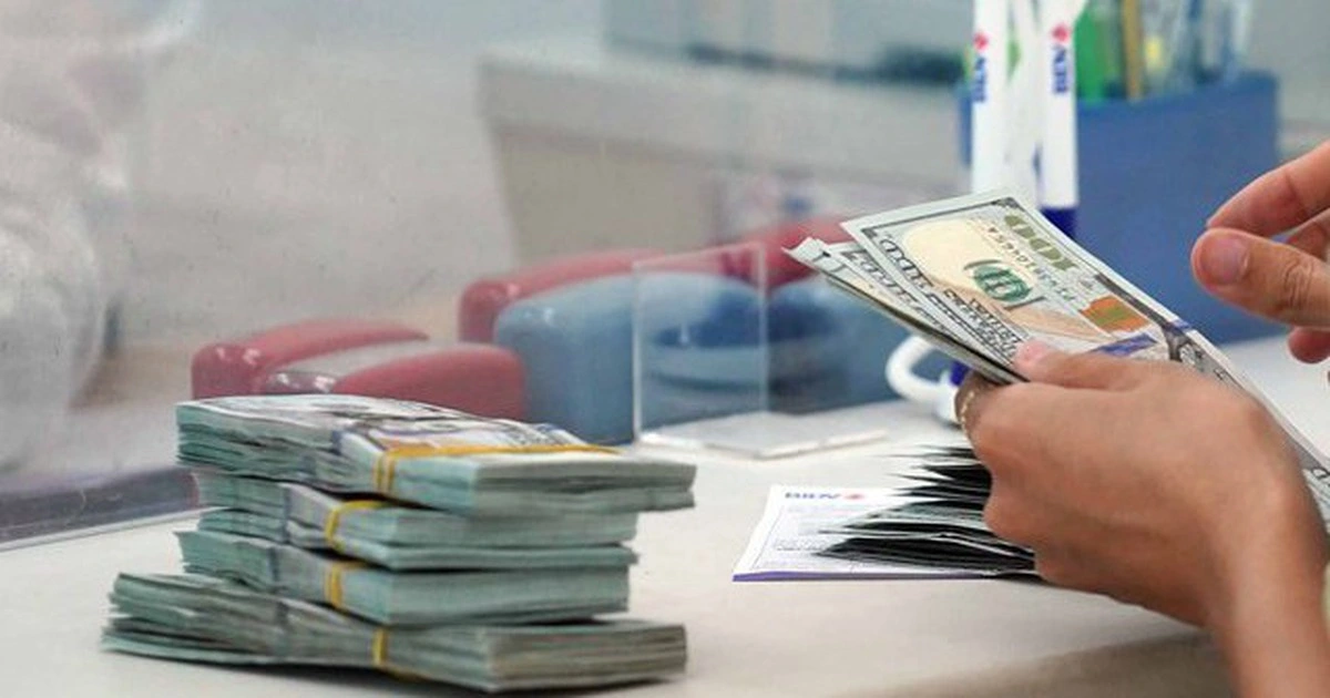 Giá USD hôm nay 25.11.2025: Bất ngờ đô tự do lao dốc