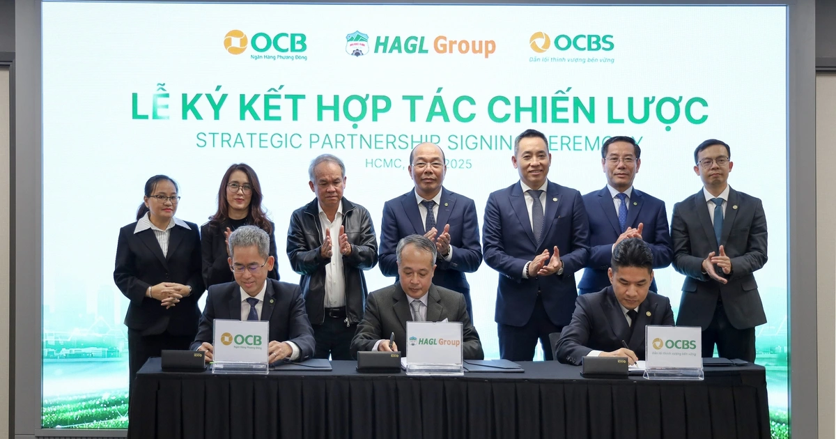 HAGL, OCB, OCBS ký kết hợp tác chiến lược
