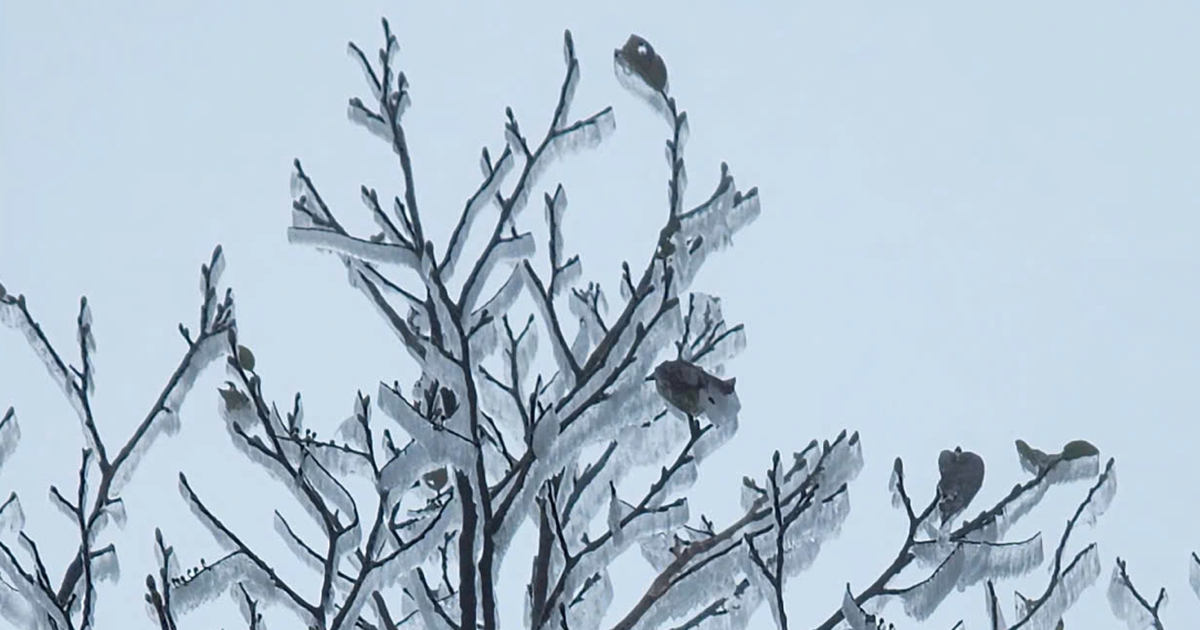 Không khí lạnh mới đang về, miền Trung tiếp tục đón đợt mưa lớn