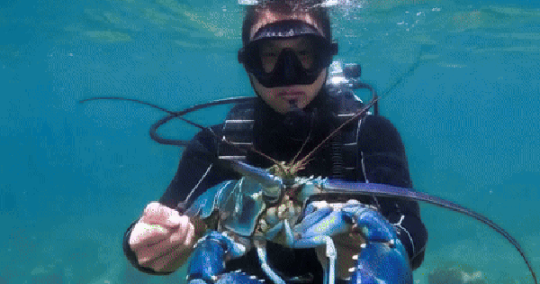 6 "kho báu" mang về 10,8 triệu tỷ đồng cho Việt Nam; Tiến thẳng vào Top 15 của thế giới