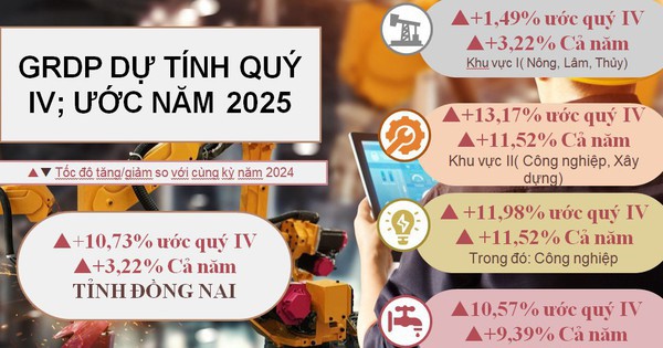 Đồng Nai bứt phá mạnh mẽ, GRDP năm 2025 vượt mục tiêu, khẳng định vai trò đầu tàu kinh tế của vùng và cả nước