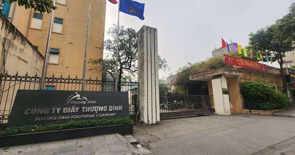 Cổ phiếu tăng trần 12 phiên liên tiếp, Giầy Thượng Đình lên tiếng giải trình