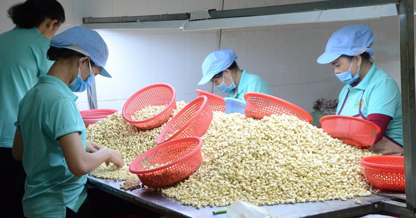 Chỉ 10 tháng, Trung Quốc chi hơn 800 triệu USD nhập loại hạt có thể giúp phòng chừa ung thư từ Việt Nam