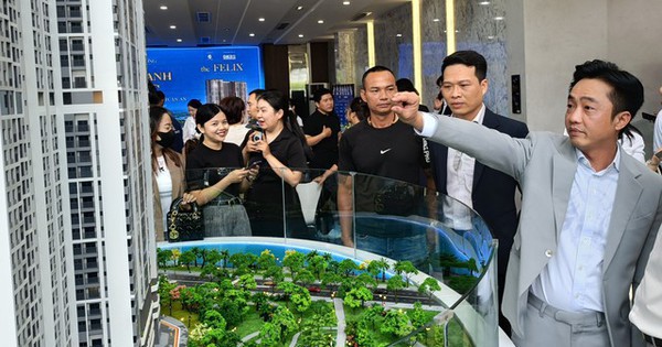 Quốc Cường Gia Lai muốn bán tài sản để trả 1.783 tỷ đồng còn lại cho bà Trương Mỹ Lan