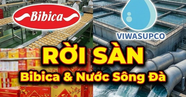 2 công ty con của GELEX và PAN Group chính thức bị huỷ tư cách đại chúng
