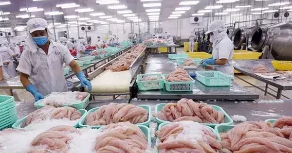 Xuất khẩu thuỷ sản có thể lập kỷ lục mới trong năm 2025