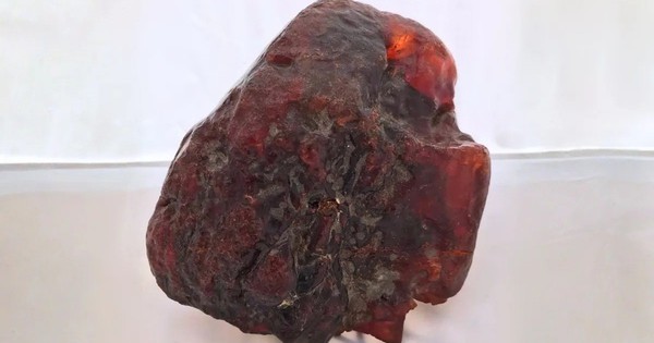 Hòn đá chặn cửa bất ngờ hóa thành bảo vật triệu đô