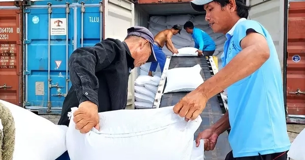 Philippines 'phanh gấp' nhập khẩu, gạo Việt chuyển hướng không ngờ