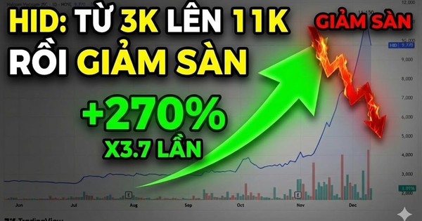 Biến lớn tại công ty sở hữu Nhà máy điện gió 9.000 tỷ tại Quảng Trị