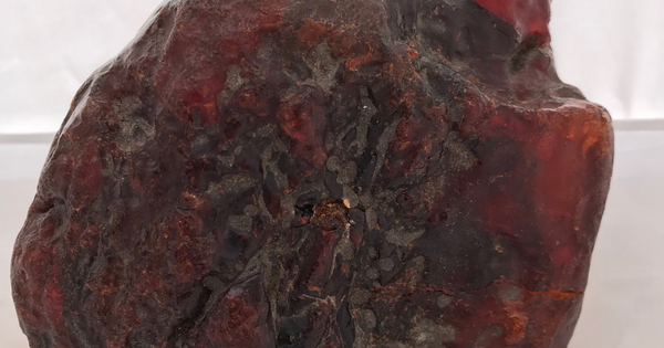 Nhặt hòn đá dưới suối về chặn cửa suốt mấy thập kỷ, chuyên gia vừa xem đã nói là kho báu gần 29 tỷ đồng