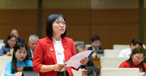 Tạo điều kiện để viên chức phát huy năng lực