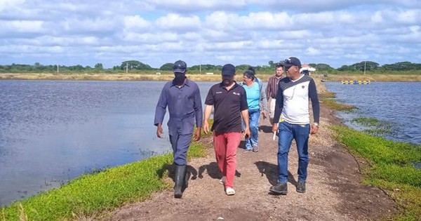 Hơn 120 ngày thử nghiệm, 'sản vật tỷ USD' của Việt Nam gây bất ngờ lớn tại Cuba