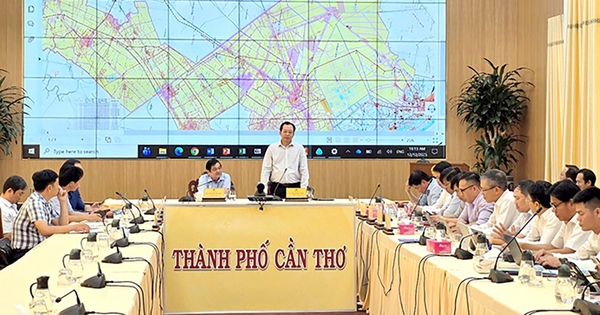 Phối hợp đảm bảo tiến độ dự án đường dây 500 kV LNG Bạc Liêu - Thốt Nốt