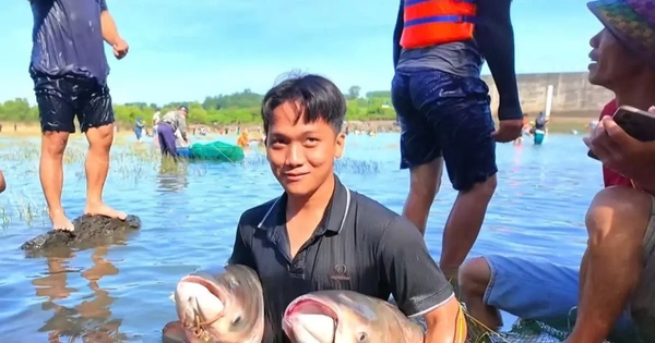 Người dân đổ xô vào Thuỷ điện Trị An bắt cá khủng