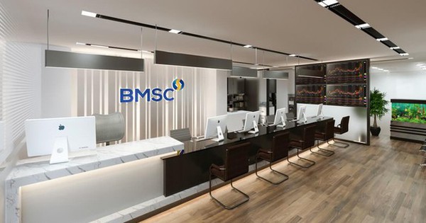 Chứng khoán Bảo Minh muốn tiếp tục triển khai niêm yết trên HoSE, bầu bổ sung nhân sự