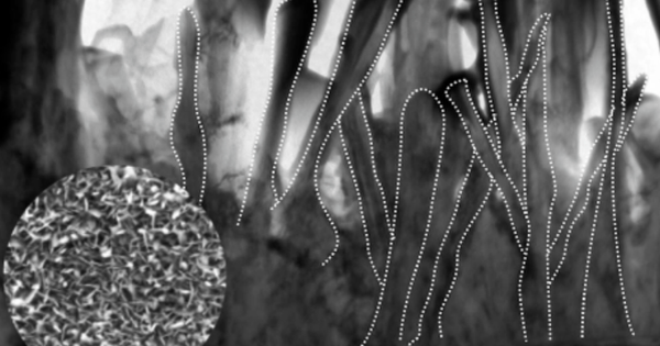 Phát minh "lá chắn 800°C" có thể rung chuyển cùng lúc 3 lĩnh vực toàn cầu, trong đó có hạt nhân