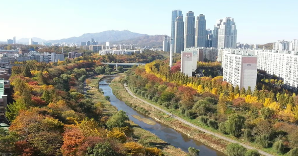 Từ cống rãnh đến dòng chảy xanh: Câu chuyện hồi sinh sông suối ở Hàn Quốc