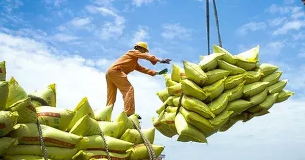 Việt Nam xuất khẩu 7,5 triệu tấn gạo