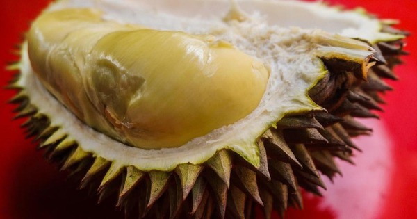 Thêm một quốc gia Đông Nam Á được chấp thuận xuất khẩu sầu riêng sang Trung Quốc