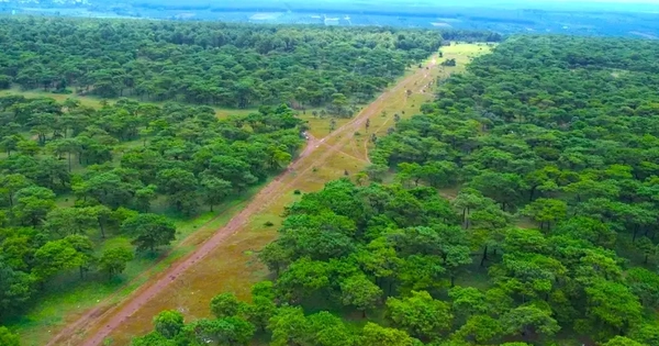 Chấp thuận chủ trương đầu tư sân golf nghìn tỷ ở Gia Lai