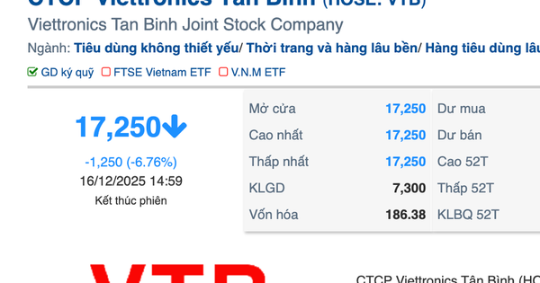 Vì sao Viettronics Tân Bình giảm sàn 5 phiên sau khi đại gia Vũ Văn Tiền thâu tóm?