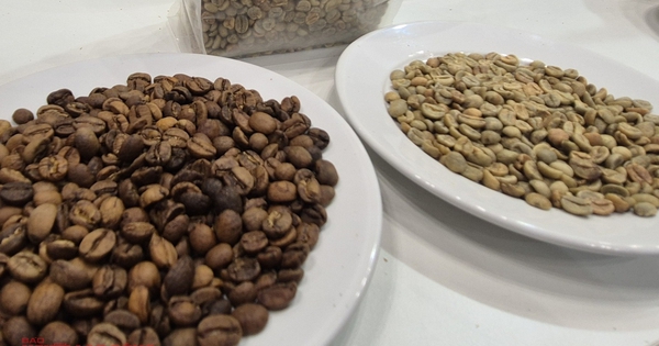 Giá cà phê hôm nay 17-12: Lao dốc dù Brazil ra hàng nhỏ giọt