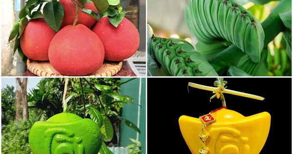 Những loại quả độc lạ chưa Tết đã hút khách