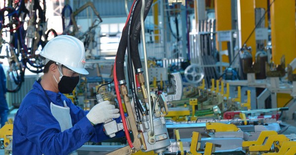 Hơn 300.000 doanh nghiệp thành lập mới và quay lại hoạt động trong năm 2025