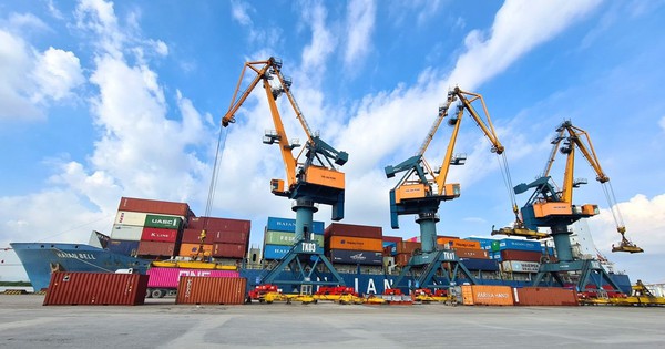 Viconship muốn mua thêm 14 triệu cổ phiếu HAH, tăng sở hữu trên 21%